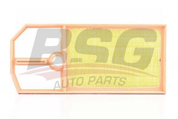 BSG 90135008 Hava Filtresi