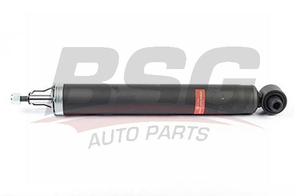 BSG 15300032 Amortisör Arka