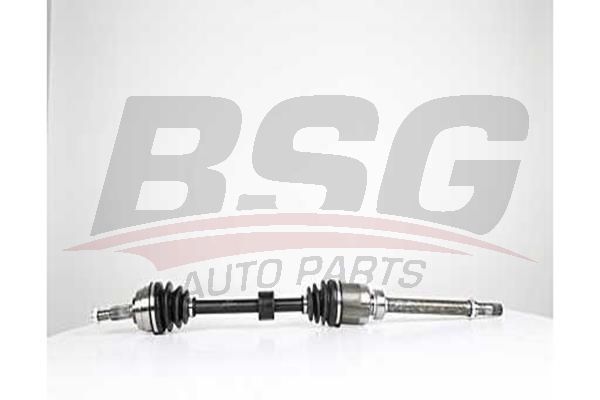 BSG 75350013 Aks Komple Ön Sağ - . Görsel