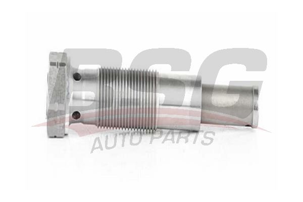BSG 60615017 Zincir Gergisi