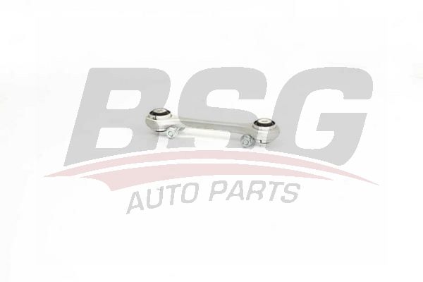BSG 90310161 Viraj Askı Rotu Ön