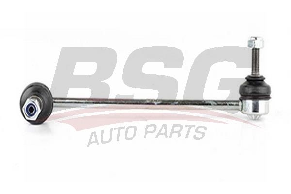 BSG 15310063 Viraj Askı Rotu Ön Sol