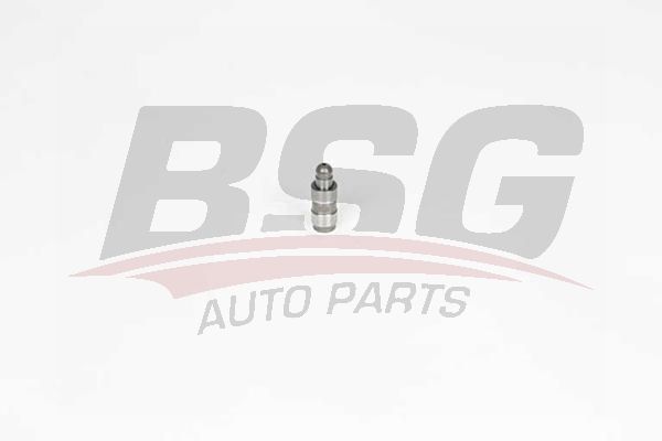 BSG 90122019 Supap Itıcısı - . Görsel