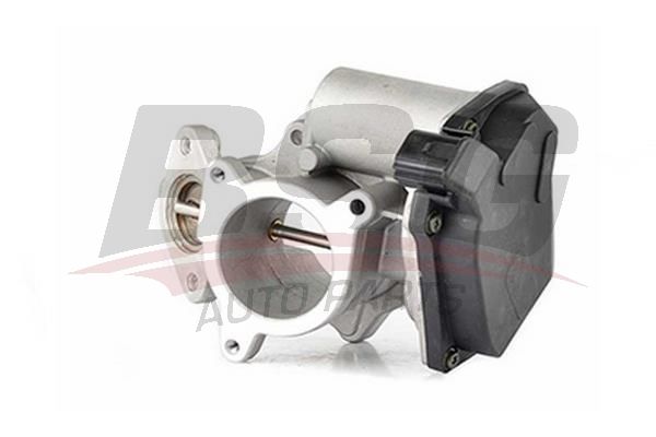 BSG 90836006 Egr Valfi