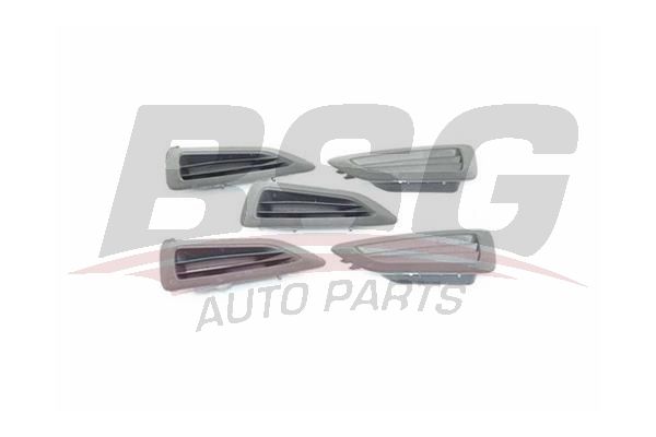 BSG 30922153 Ön Kapı Yan Buz Çözücü Izgara Sol