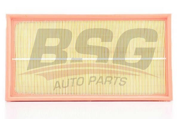 BSG 60135009 Hava Filtresi