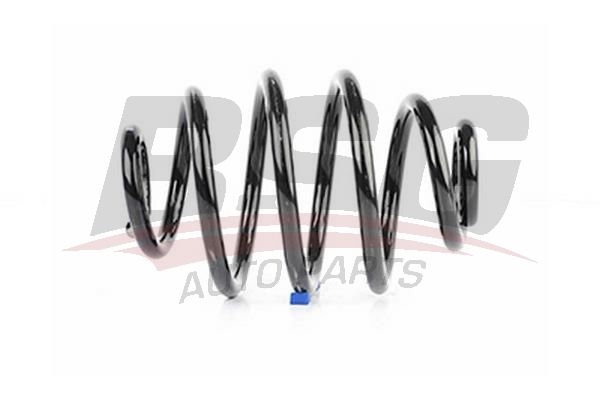 BSG 65305009 Helezon Yayı Arka