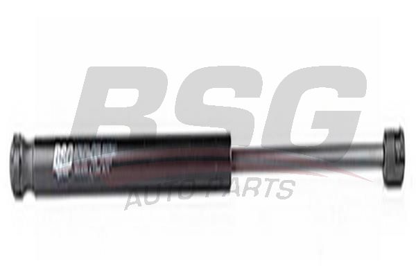 BSG 60980014 Bagaj Amortisörü
