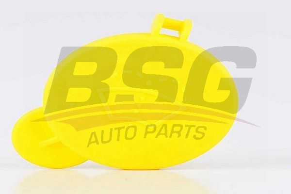 BSG 30922110 Silecek Su Depo Kapağı
