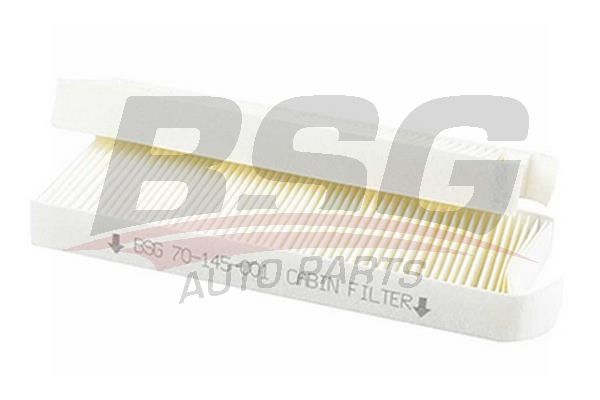 BSG 70145001 Polen Filtresi