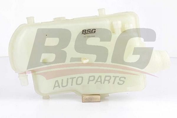 BSG 70550006 Radyatör Yedek Su Deposu - . Görsel