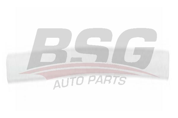 BSG 65925029 Kapı Bandı Ön Sol