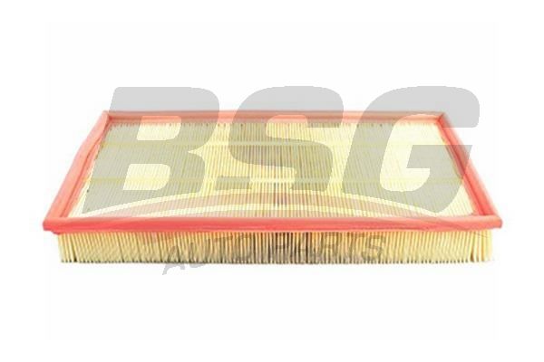 BSG 90135001 Hava Filtresi - . Görsel