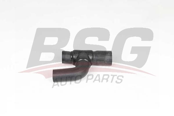 BSG 65700368 Devirdaim Hortumu