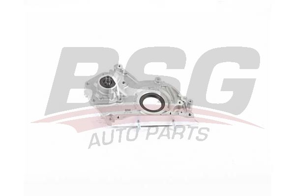 BSG 65101008 Yağ Pompası