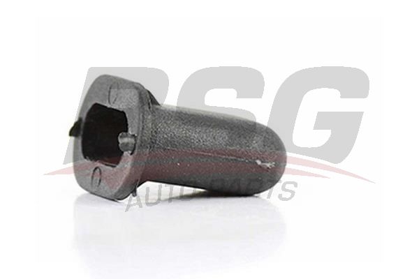 BSG 30995021 Kapı Basamak Klipsi