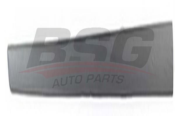 BSG 30924024 Kapı Bandı Ön Sol