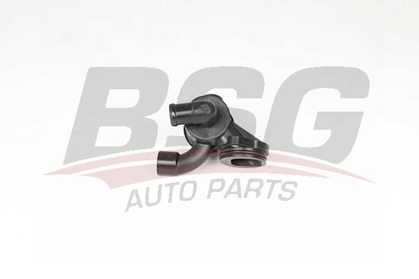 BSG 90126054 Termostat Komple