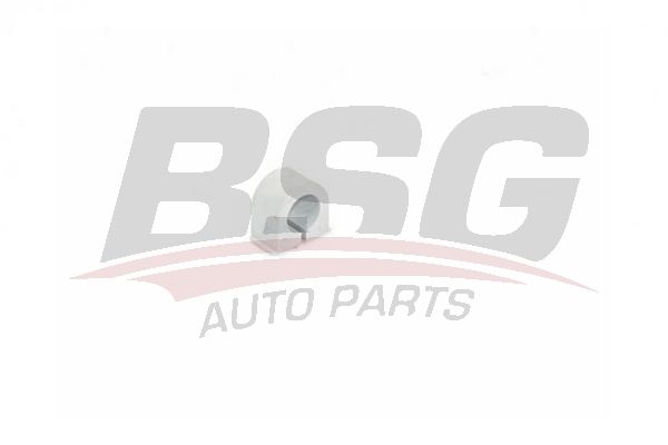 BSG 75700011 Viraj Demir Orta Lastiği