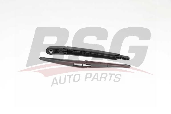 BSG 30995056 Arka Cam Silgi Kol Ve Süpürge Takım