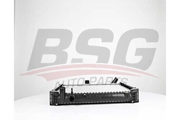 BSG 40520058 Su Radyatörü