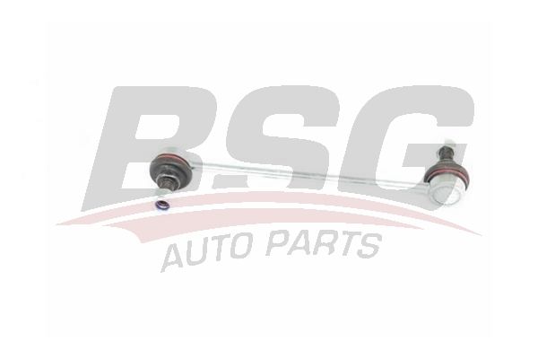 BSG 40310106 Viraj Askı Rotu Ön