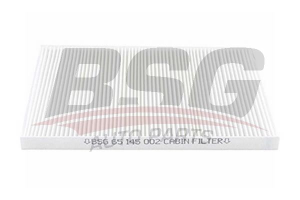 BSG 65145002 Polen Filtresi