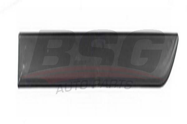 BSG 65925048 Kapı Bandı Arka Sol