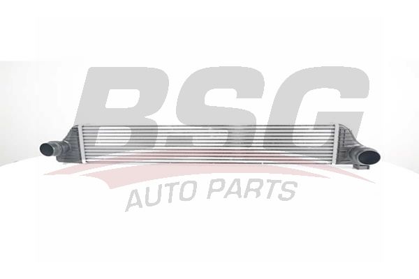BSG 75535011 Turbo Radyatörü