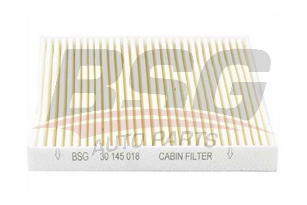 BSG 30145018 Polen Filtresi - . Görsel