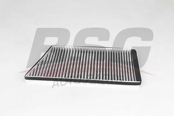 BSG 60145025 Polen Filtresi