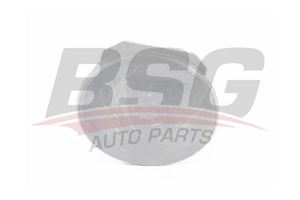 BSG 65922076 Çeki Demir Kapağı Arka