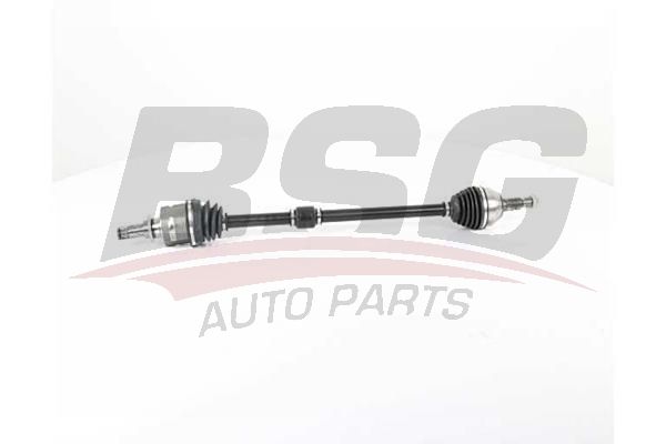 BSG 65350046 Aks Komple Ön Sağ - . Görsel