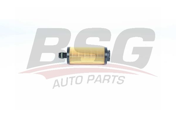 BSG 16140004 Yağ Filtresi