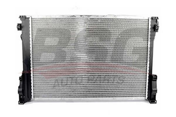 BSG 60520019 Su Radyatörü - . Görsel