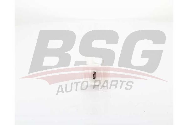 BSG 40130024 Yakıt Filtresi