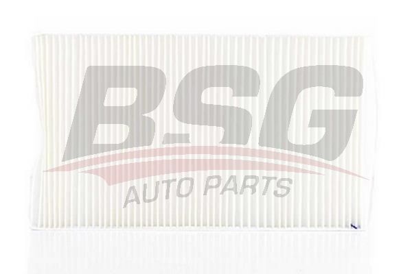 BSG 90145006 Polen Filtresi