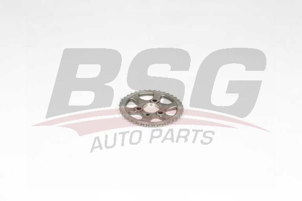 BSG 60109012 Eksantrik Dişlisi - . Görsel