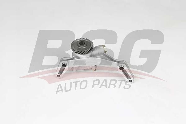 BSG 40101002 Yağ Pompası