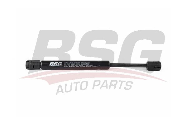 BSG 30980024 Motor Kaput Amortisörü