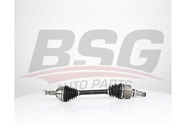 BSG 75350022 Aks Komple Ön Sol