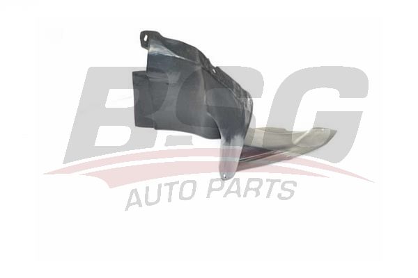 BSG 90923021 Çamurluk Davlumbazı Ön Sağ