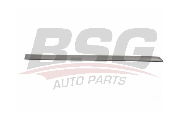 BSG 90924020 Kapı Bandı Arka Sağ