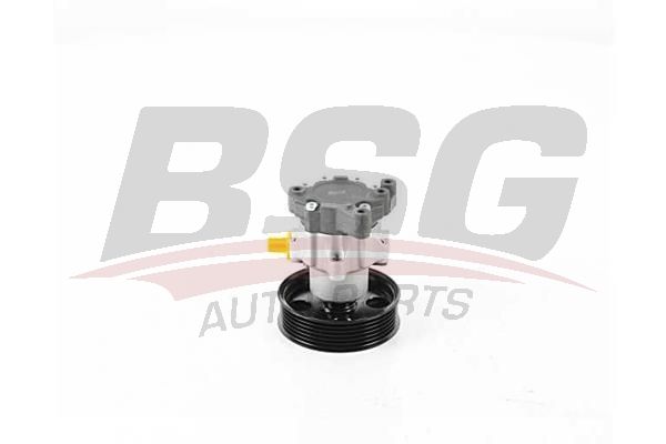 BSG 60355032 Direksiyon Pompası
