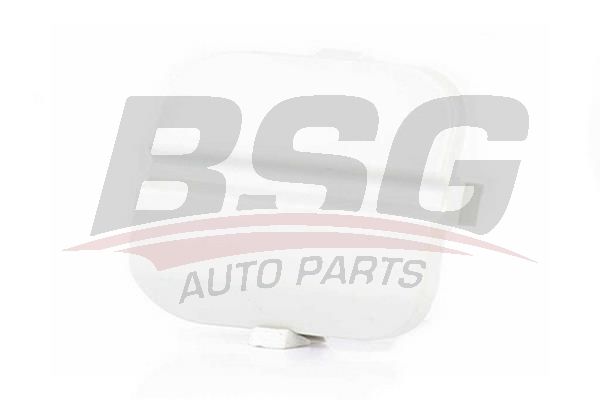 BSG 30922086 Çeki Demir Kapağı Arka