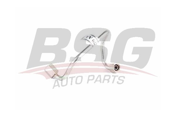 BSG 30725058 Boru Komple - . Görsel