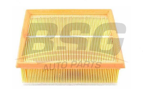 BSG 65135015 Hava Filtresi