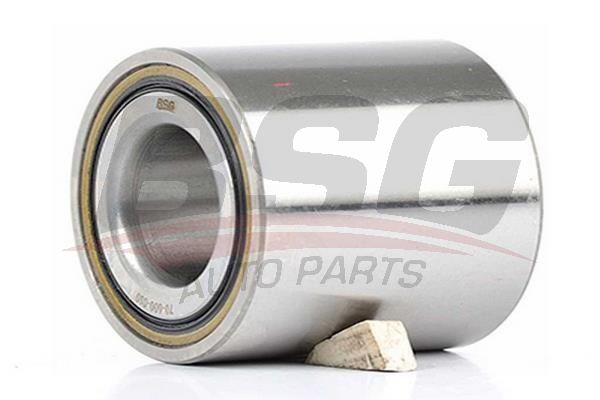 BSG 70600010 Porya Rulmanı Arka