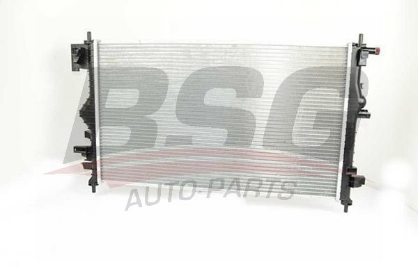 BSG 65520035 Su Radyatörü