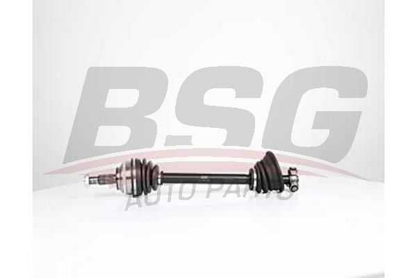 BSG 75350026 Aks Komple Ön Sol